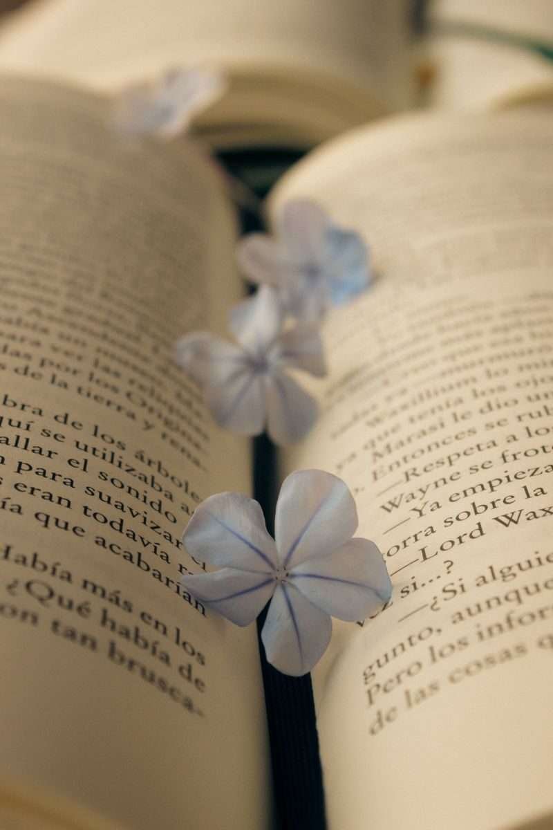 Aprenda a escrever poesias.