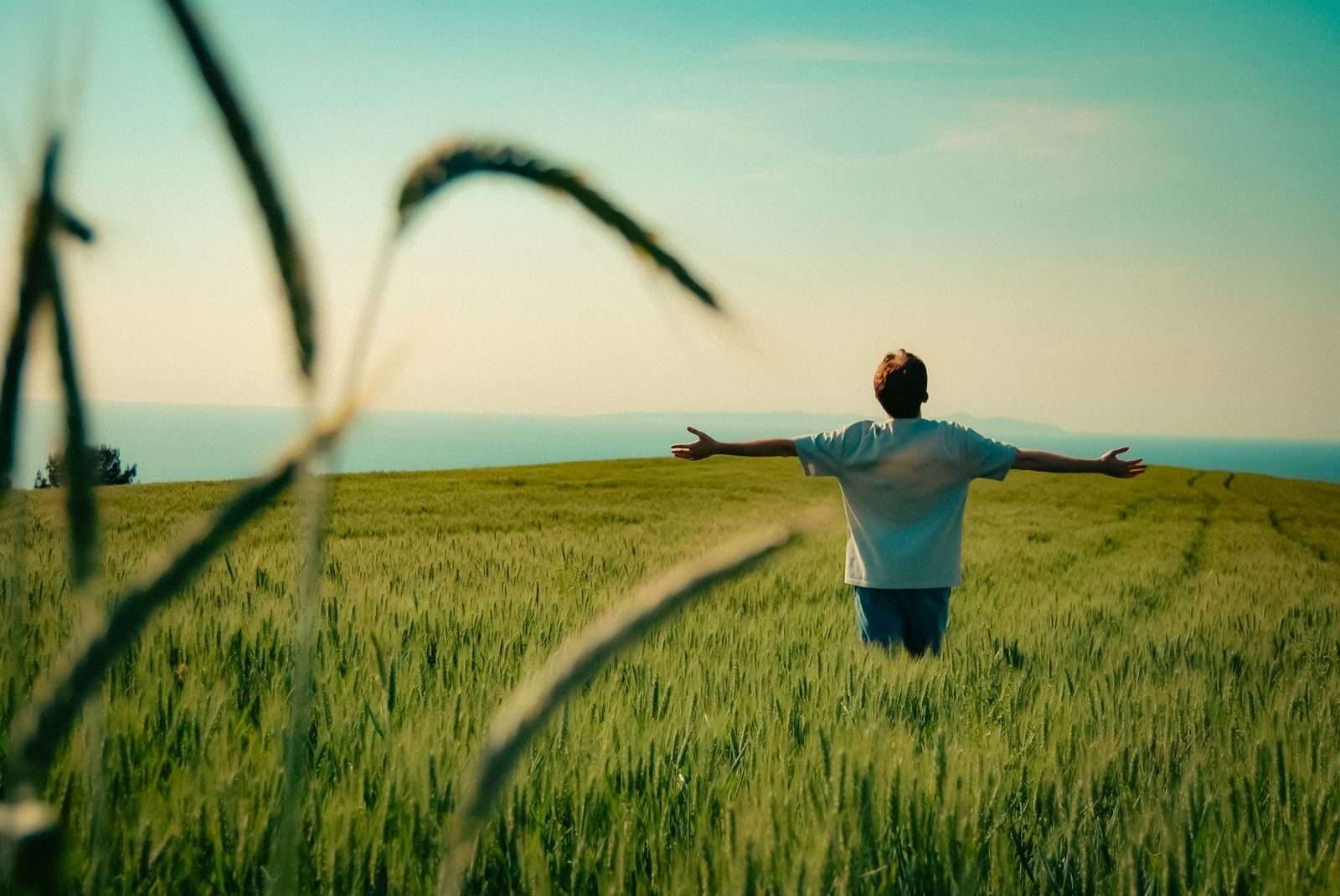 O Preço da Ilusão: Por Que Abandonar o Perfeccionismo É o Seu Maior Ato de Liberdade.