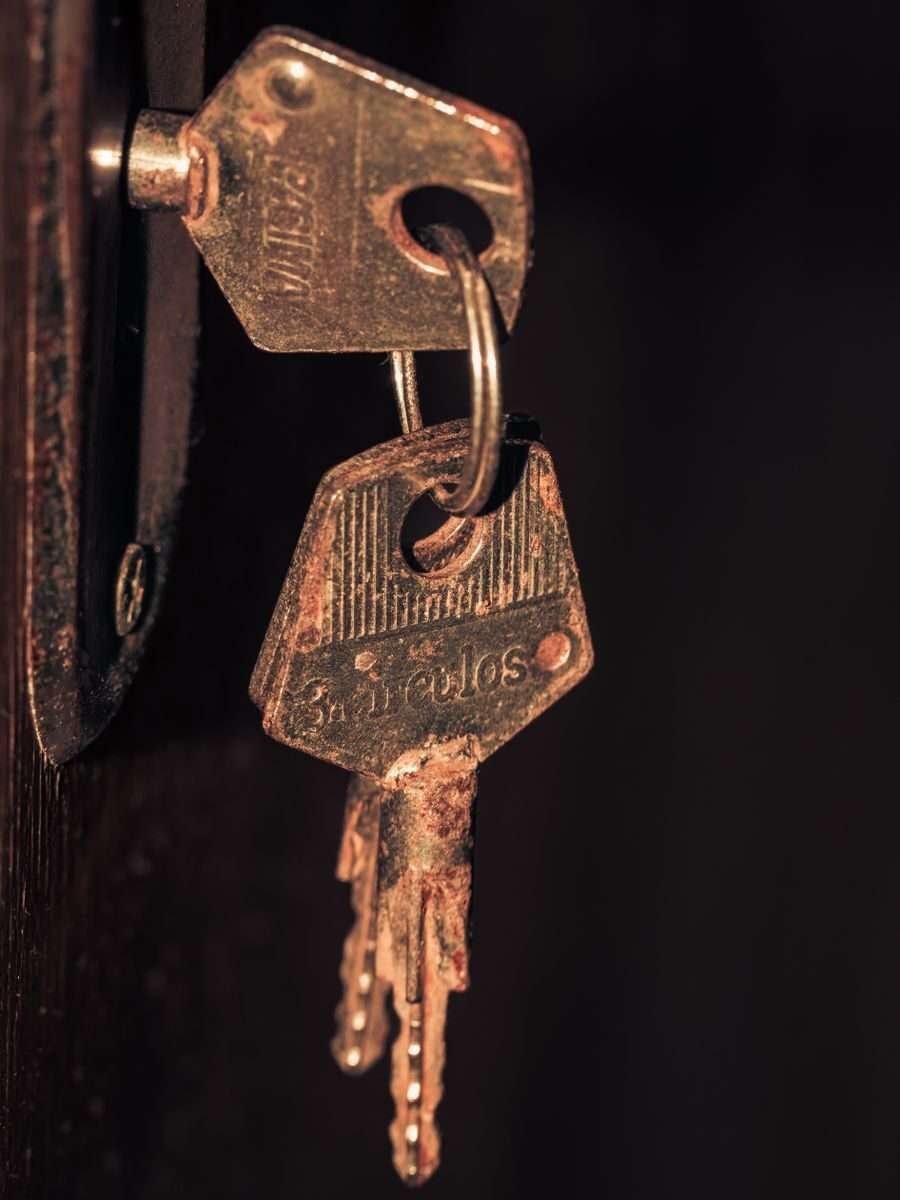 O Paradoxo da Liberdade: Por Que a Disciplina é a Chave que Abre Todas as Portas.