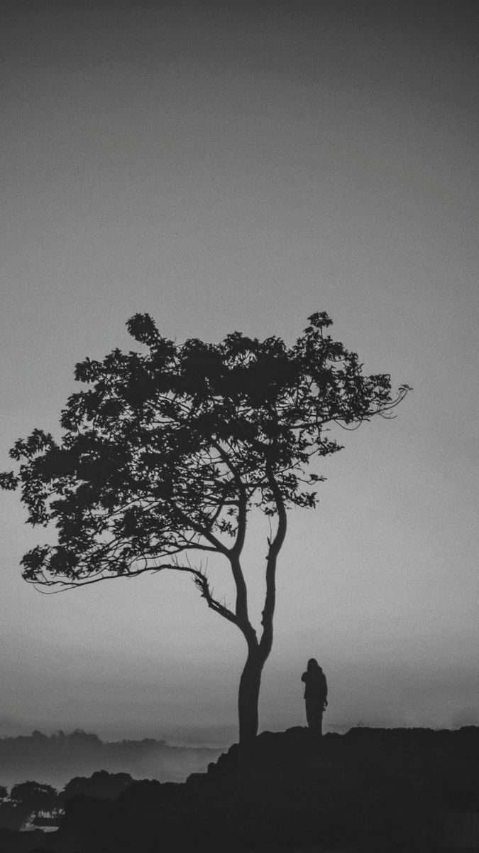 Silenciar a Mente: Cultivando a Serenidade em um Mundo de Ruídos