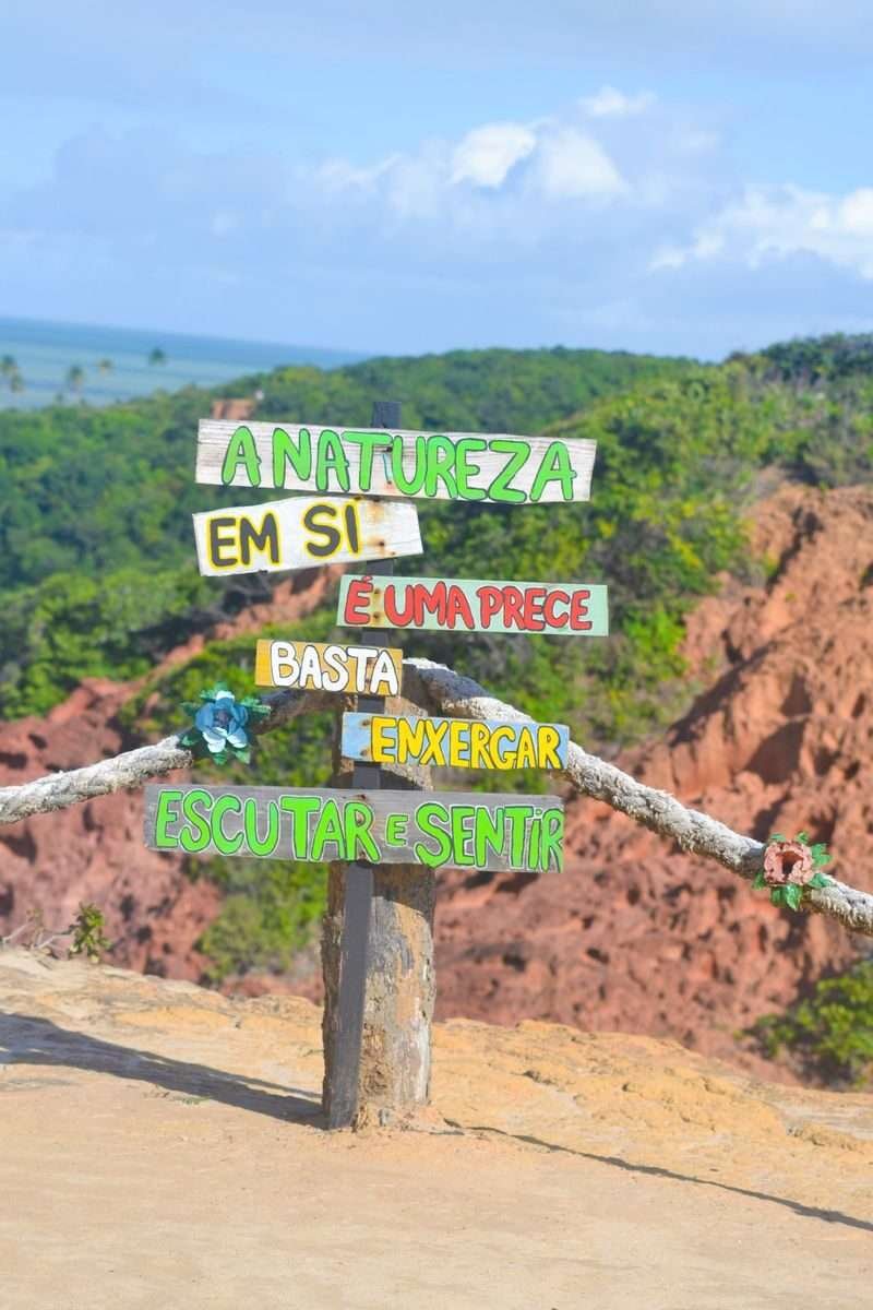 O domínio da atenção: Como treinar a mente para a clareza em um Mundo distraído.