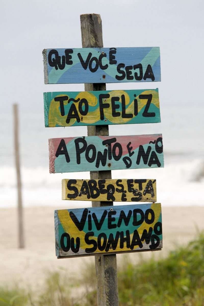 O poder da mente: Como transformar seus pensamentos em fortalezas de Autoestima