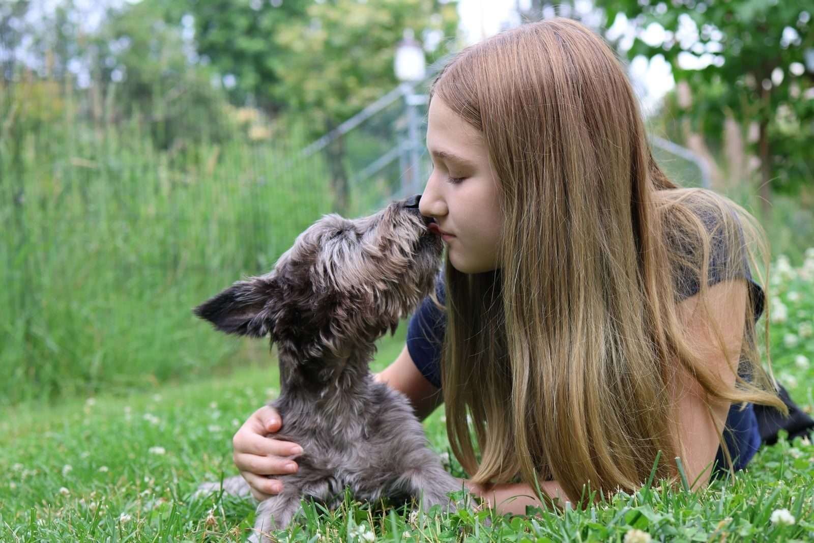 O Cuidado que Seu Pet Merece: Amor em Forma de Atitude.