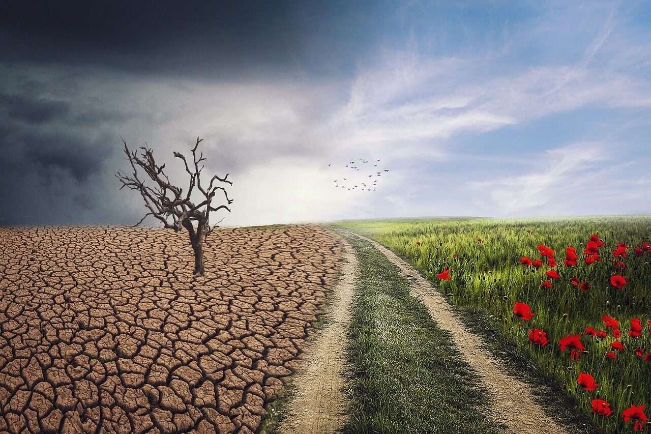 pxclimateaction, nature, climate, landscape, storm, field, dry so, climate change, darling, clouds