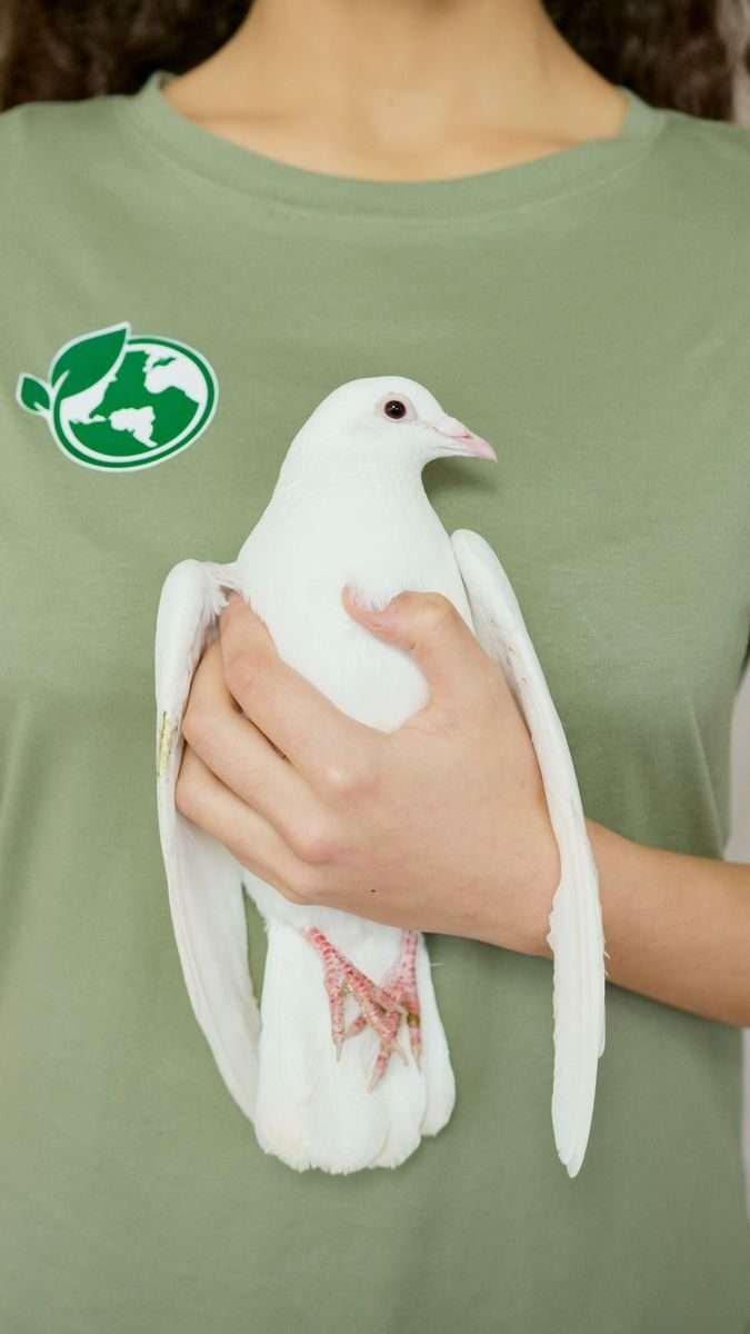 Ecologia