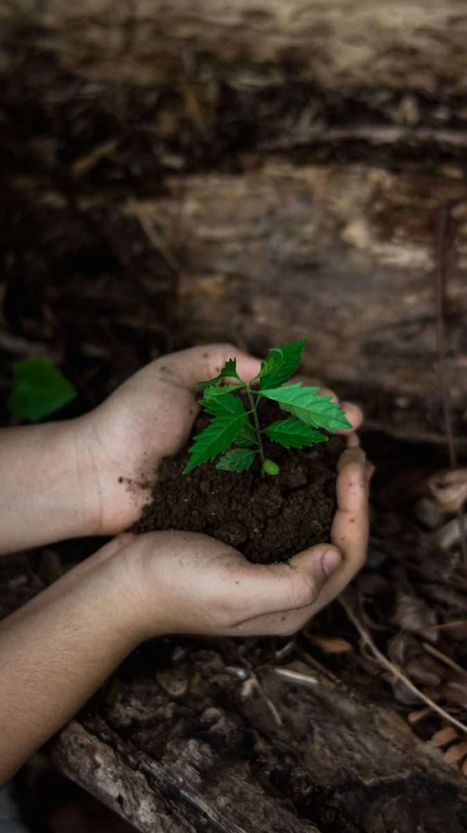 Ecologia