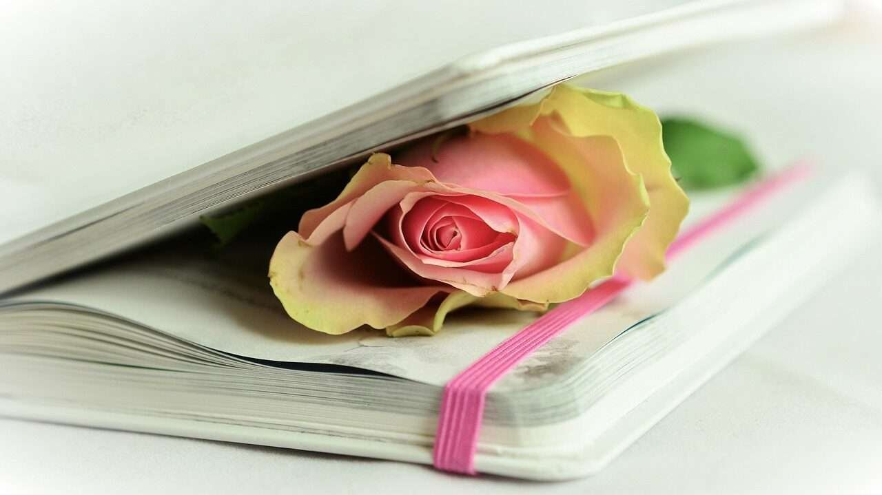 Aprenda como escrever poesia com dicas e inspiração