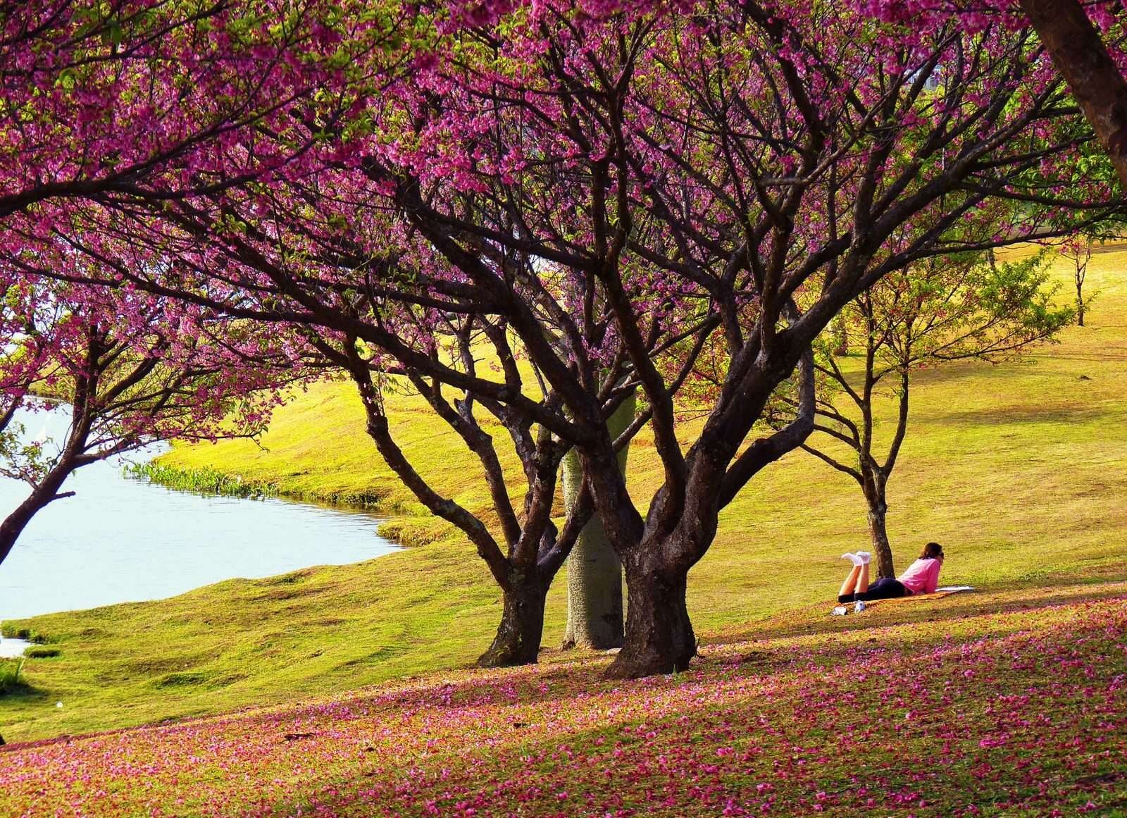 Oração do Descanso em Cristo (Mateus 11:28-29)