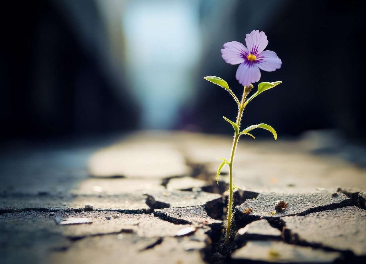 Resiliência