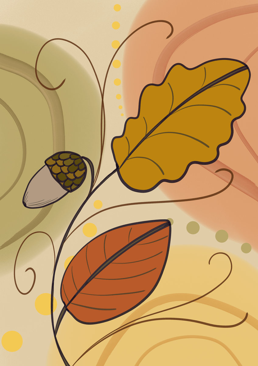 The Art of Cultivating the Internal Garden: Why Run Behind Butterflies Doesn't Work.